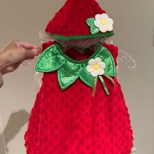 9 month strawberry costume